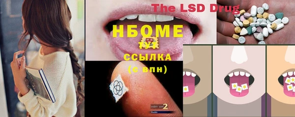 хмурый Арсеньев