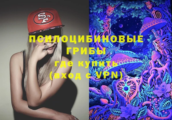 хмурый Арсеньев