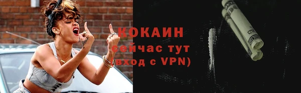 хмурый Арсеньев