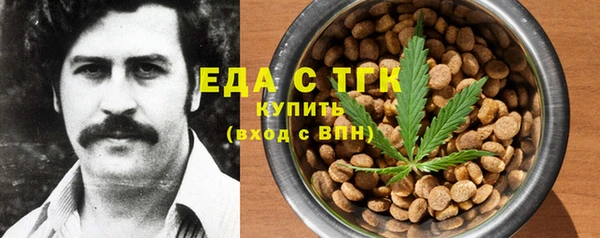 хмурый Арсеньев