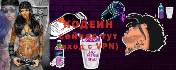 хмурый Арсеньев
