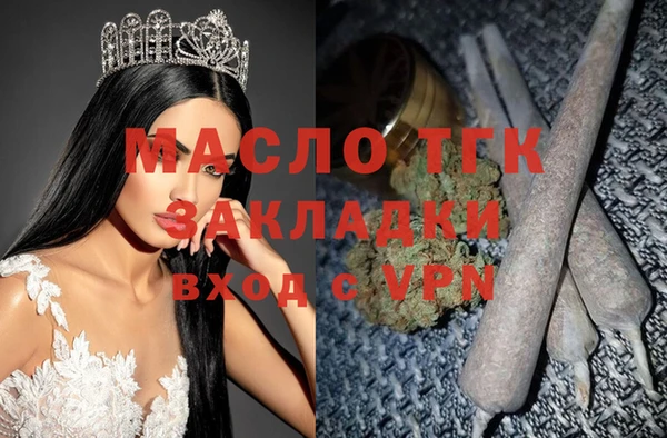 хмурый Арсеньев